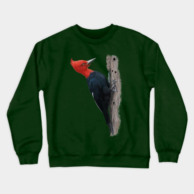 Magellanic woodpecker Crewneck Sweatshirt by uialwen